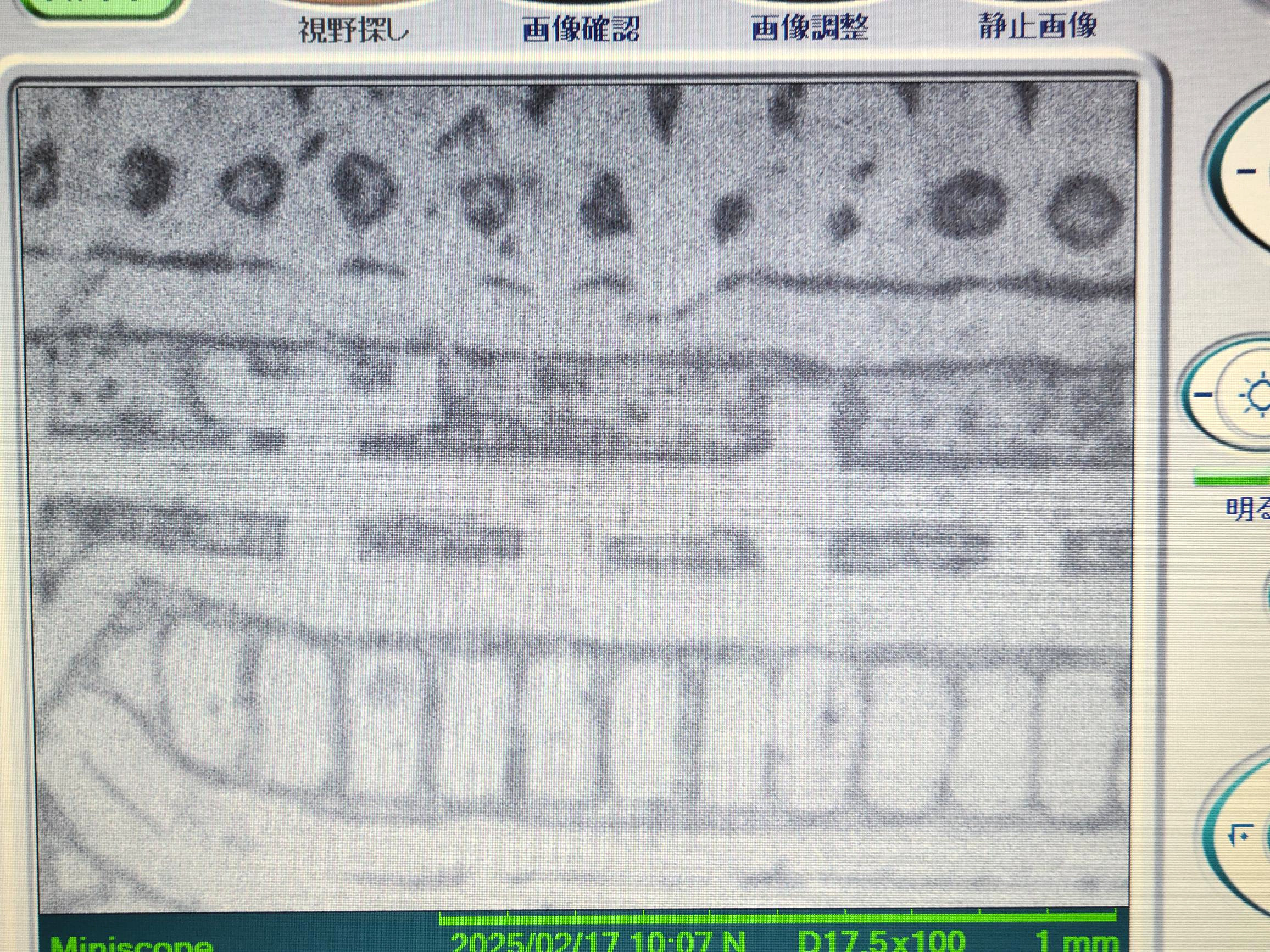 製品画像7